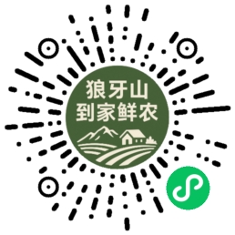 扫码下单